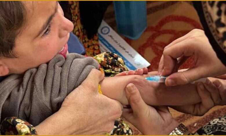 WHO, खसरा, Measles Outbreak, Global Health, Vaccination Crisis, Big Catch-Up Campaign, Kate O'Brian, Immunization, Children Health, Vaccine Coverage