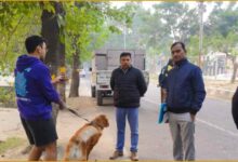 Lucknow Nagar Nigam छ