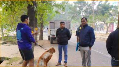 Lucknow Nagar Nigam छ