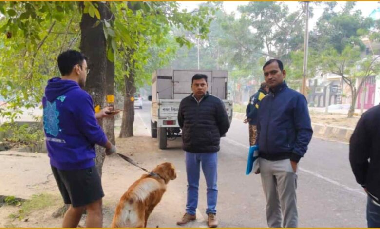 Lucknow Nagar Nigam छ