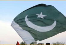 UAE Visa Pakistan, Pakistan UAE Visa Issue, UAE Visa Ban Pakistan, Fake Documents Pakistan, Criminal Record Visa Issue, UAE Pakistan Relations, Pakistani Passport Visa Ban, UAE AI Verification