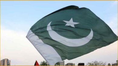 UAE Visa Pakistan, Pakistan UAE Visa Issue, UAE Visa Ban Pakistan, Fake Documents Pakistan, Criminal Record Visa Issue, UAE Pakistan Relations, Pakistani Passport Visa Ban, UAE AI Verification