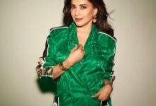 Madhuri Dixit Brand Ambassador: Madhuri Dixit becomes the brand ambassador of Odisha Handloom, the government will give Rs 1.6 crore.