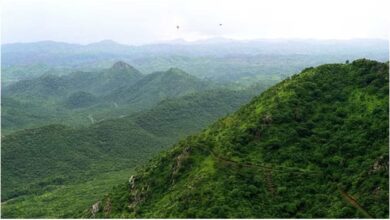 Aravali, अरावली पहाड़ियां, अरावली संरक्षण, भूपेंद्र यादव बयान, अरावली खनन नियम, पर्यावरण मंत्रालय, अरावली सुप्रीम कोर्ट मामला, दिल्ली एनसीआर पर्यावरण, ग्रीन अरावली कार्यक्रम