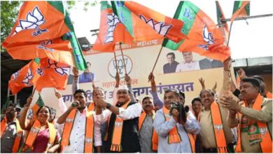 महाराष्ट्र स्थानीय निकाय चुनाव, महायुति गठबंधन, बीजेपी सबसे बड़ी पार्टी, महाराष्ट्र चुनाव परिणाम, नगर पंचायत चुनाव, नगर परिषद चुनाव, महाराष्ट्र राजनीति