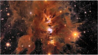 ब्रह्मांड, तारे, खगोल विज्ञान, नए तारों का निर्माण, जेम्स वेब टेलीस्कोप, कॉस्मिक नून, आकाशगंगा, हीट डेथ, बिग फ्रीज़, अंतरिक्ष विज्ञान