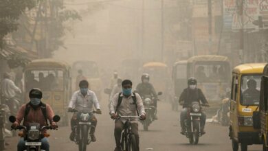 Air Pollution India, Post Covid Health Crisis, Air Pollution Health Risk, Respiratory Diseases India, Lung Disease Warning, Doctors Warning India, Delhi Air Pollution, Public Health Crisis