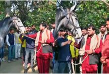 Gonda News, बृजभूषण शरण सिंह, डेढ़ करोड़ का घोड़ा, BJP नेता, कैसरगंज सांसद, Brij Bhushan Horse Gift, UP News