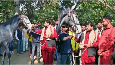 Gonda News, बृजभूषण शरण सिंह, डेढ़ करोड़ का घोड़ा, BJP नेता, कैसरगंज सांसद, Brij Bhushan Horse Gift, UP News