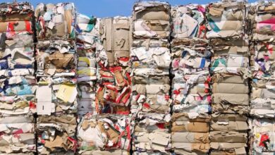 Exim Routes New Listing: Lower circuit shock after premium listing, Exim Routes shares fluctuate