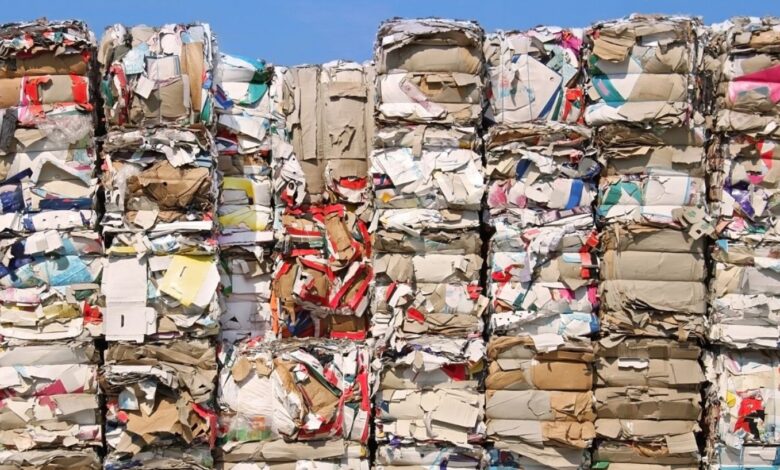 Exim Routes New Listing: Lower circuit shock after premium listing, Exim Routes shares fluctuate