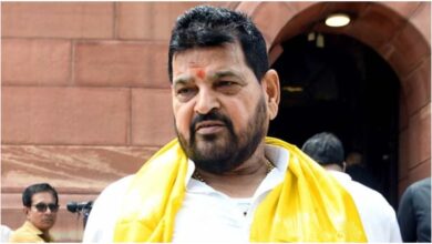 Brij Bhushan Sharan Singh, Brij Bhushan Lok Sabha Return, BJP Leader Brij Bhushan Statement, Kaiserganj MP News, Wrestlers Allegations Case, Indian Politics News Hindi, Brij Bhushan Podcast Interview