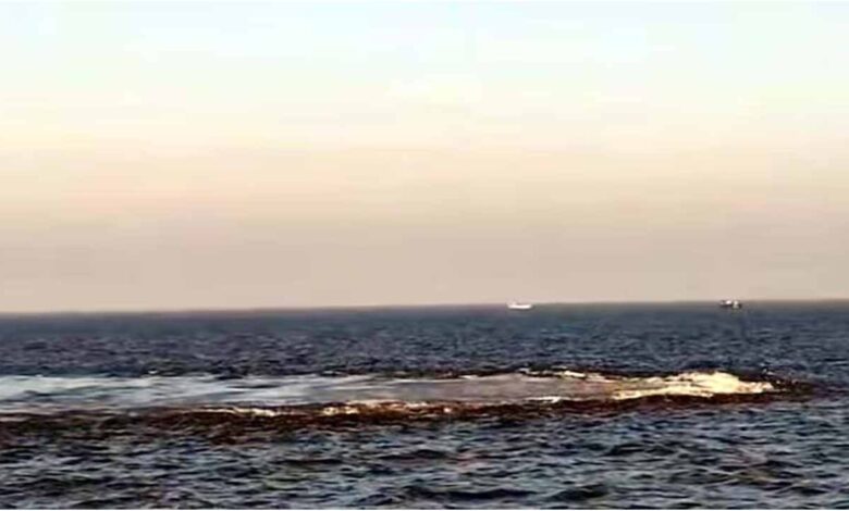 Gujarat coast boiling sea, Arabian Sea methane leak, Gujarat sea bubbles, Palghar sea incident, INCOIS investigation, undersea gas leak India, भूकंप आशंका गुजरात, समुद्र उबलने की खबर