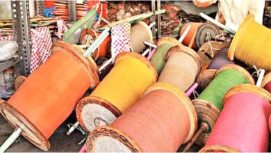 Chinese Manja Ban, Allahabad High Court Order, Chinese Manjha News, UP News Today, Kite Manja Death Case, Chinese Manja Ban in UP, High Court Latest News, Prayagraj News, Janhit Yachika