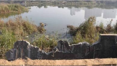 Noida Techie Death, Noida Sector 150 Accident, UP SIT Probe, Yuvraj Mehta Death Case, Noida Authority Negligence, Yogi Adityanath SIT Order, Noida News Hindi