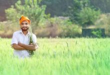 योगी सरकार कृषि योजना, कम लागत अधिक उत्पादन मॉडल, यूपी सोलर पंप योजना, खेत तालाब योजना कानपुर, गोरखपुर स्वीट कॉर्न सब्सिडी