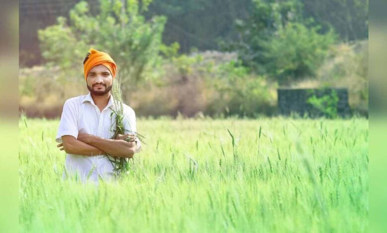 योगी सरकार कृषि योजना, कम लागत अधिक उत्पादन मॉडल, यूपी सोलर पंप योजना, खेत तालाब योजना कानपुर, गोरखपुर स्वीट कॉर्न सब्सिडी