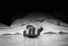 सूरजकुंड मेला हादसा, झूला गिरने से मौत, पुलिस इंस्पेक्टर की मौत, फरीदाबाद सूरजकुंड मेला, Surajkund Mela Accident, Jhula girne se hadsa, Haryana news hindi, Surajkund Craft Festival accident