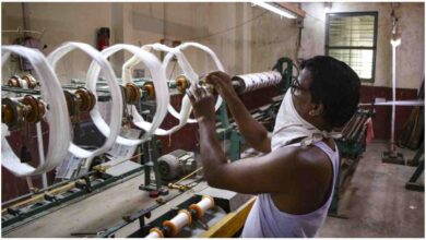 Kashmir Silk Industry, Sericulture Project Kashmir, Manasbal Silk Project, Ganderbal Silk Farming, Kashmir Employment News