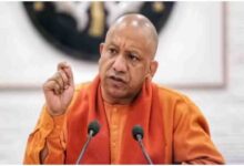 UP Cabinet Decision 2026, Wheat MSP Uttar Pradesh, Yogi Adityanath News, Farmer Benefits UP, Wheat Procurement Policy UP