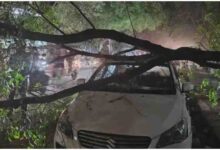 यूपी मौसम अपडेट, लखनऊ आंधी बारिश, UP storm rain news, Lucknow weather today, ओलावृष्टि खबर, tree fall Lucknow, weather alert UP, western disturbance India