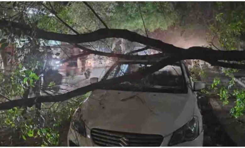 यूपी मौसम अपडेट, लखनऊ आंधी बारिश, UP storm rain news, Lucknow weather today, ओलावृष्टि खबर, tree fall Lucknow, weather alert UP, western disturbance India