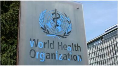 Hantavirus Outbreak, WHO Hantavirus Statement, COVID-19 Comparison, Cruise Ship Virus Outbreak, Hantavirus News, WHO Latest Update, Global Health Alert