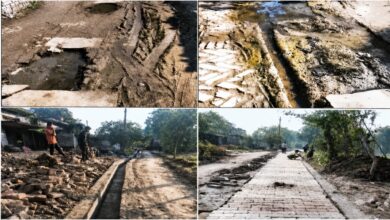 CPGRAMS Portal, उत्तर प्रदेश ग्राम पंचायत, बलिया गोवापुर सड़क निर्माण, महाराजगंज सिसवा राजा नाली सफाई, पंचायती राज मंत्रालय, ग्रामीण विकास उत्तर प्रदेश, ऑनलाइन जन शिकायत, CPGRAMS, Panchayati Raj Ministry, Uttar Pradesh, Ballia News, Maharajganj News, Gram Panchayat, Rural Development, Online Complaint, Govapur, Siswa Raja, Road Construction, Drainage System
