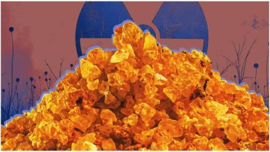 भारत के लिए ऑस्ट्रेलिया का यूरेनियम, Australia Uranium India, Nuclear Energy India, भारत-ऑस्ट्रेलिया परमाणु समझौता, Uranium Supply to India, भारत की ऊर्जा सुरक्षा, Clean Energy India, 100 GW Nuclear Target, PM Modi Australia Visit