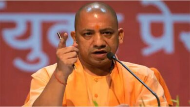 सरकारी जमीन विवाद, सरकारी जमीन विवाद, तीन सदस्यीय विशेष पीठ, योगी सरकार, राजस्व परिषद, ग्राम सभा भूमि, नजूल भूमि, उत्तर प्रदेश राजस्व संहिता, शासकीय भूमि, राजस्व न्याय व्यवस्था