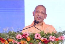 Yogi Adityanath, UP News, Uttar Pradesh News, Lawyers, Advocate, Allahabad High Court, High Court Bar Association, Cashless Medical Insurance, Advocate Welfare Fund, UP Government
